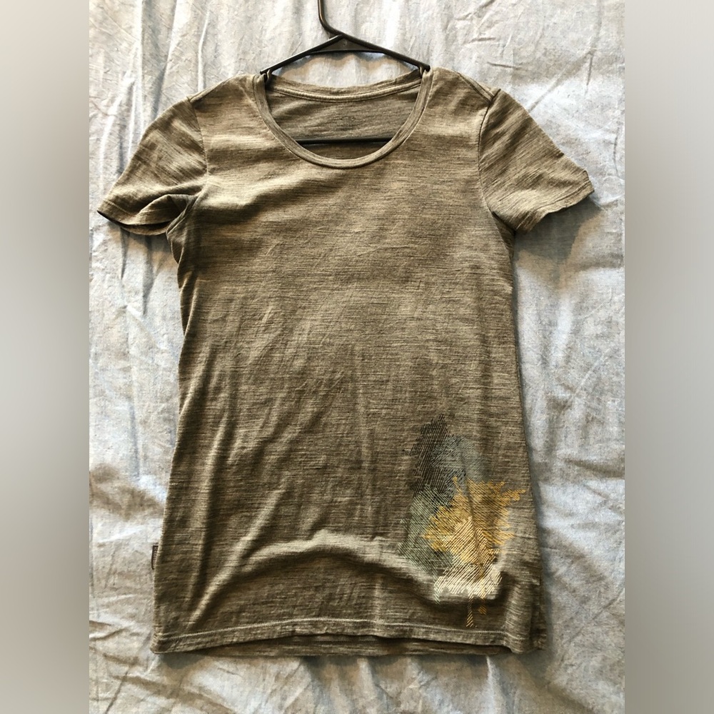 Icebreaker merino wool t shirt